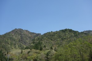 八ヶ尾山 4月26日