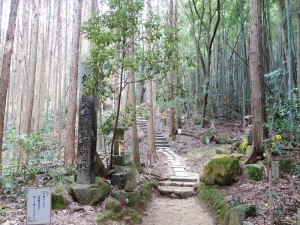 太郎坊山・箕作山 3月21日