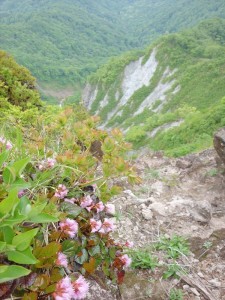 烏ヶ山06638