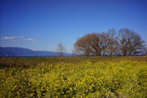 なぎさ公園（滋賀）004