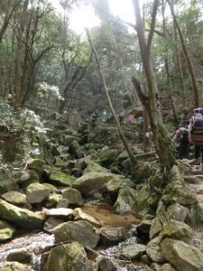 くろんど池～交野山～国見山003