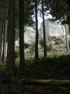 くろんど池～交野山～国見山041