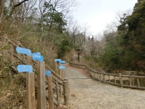 くろんど池～交野山～国見山007